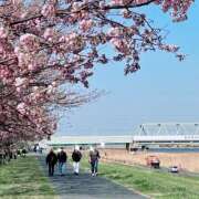 ヒメ日記 2025/04/08 08:57 投稿 すみれ 倶楽部愛