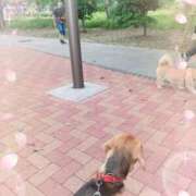 ヒメ日記 2025/04/22 15:04 投稿 すみれ 倶楽部愛