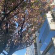 ヒメ日記 2025/04/27 23:49 投稿 すみれ 倶楽部愛