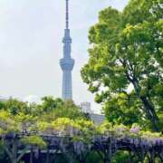 ヒメ日記 2025/04/28 09:49 投稿 すみれ 倶楽部愛