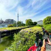 ヒメ日記 2025/04/28 10:01 投稿 すみれ 倶楽部愛