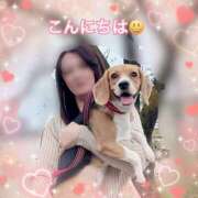 ヒメ日記 2025/04/29 13:33 投稿 すみれ 倶楽部愛