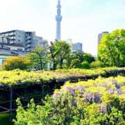 ヒメ日記 2025/04/30 09:09 投稿 すみれ 倶楽部愛