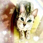 ヒメ日記 2025/04/30 15:44 投稿 すみれ 倶楽部愛