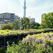 ヒメ日記 2025/05/02 12:27 投稿 すみれ 倶楽部愛