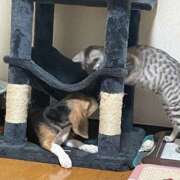 ヒメ日記 2025/05/03 19:31 投稿 すみれ 倶楽部愛