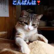 ヒメ日記 2025/05/03 22:25 投稿 すみれ 倶楽部愛