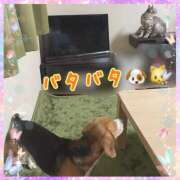 ヒメ日記 2025/05/04 15:26 投稿 すみれ 倶楽部愛