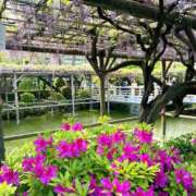 ヒメ日記 2025/05/10 14:44 投稿 すみれ 倶楽部愛