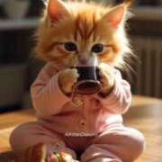 ヒメ日記 2025/05/26 06:30 投稿 すみれ 倶楽部愛