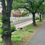 ヒメ日記 2025/05/28 14:40 投稿 すみれ 倶楽部愛