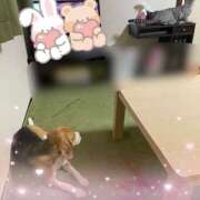 ヒメ日記 2025/05/28 20:40 投稿 すみれ 倶楽部愛