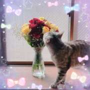 ヒメ日記 2025/05/30 09:17 投稿 すみれ 倶楽部愛