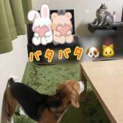 ヒメ日記 2025/06/03 08:16 投稿 すみれ 倶楽部愛