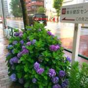 ヒメ日記 2025/06/10 14:58 投稿 すみれ 倶楽部愛