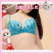 ヒメ日記 2025/06/13 16:21 投稿 すみれ 倶楽部愛