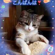 ヒメ日記 2025/06/14 20:07 投稿 すみれ 倶楽部愛