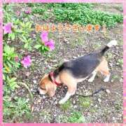 ヒメ日記 2025/06/17 07:26 投稿 すみれ 倶楽部愛