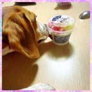 ヒメ日記 2025/06/17 16:04 投稿 すみれ 倶楽部愛