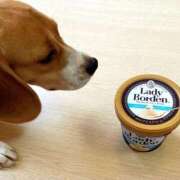 ヒメ日記 2025/06/18 16:12 投稿 すみれ 倶楽部愛