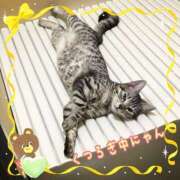 ヒメ日記 2025/07/06 00:47 投稿 すみれ 倶楽部愛