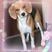 ヒメ日記 2025/07/06 14:36 投稿 すみれ 倶楽部愛