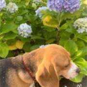 ヒメ日記 2025/07/09 10:34 投稿 すみれ 倶楽部愛