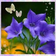 ヒメ日記 2025/07/14 14:05 投稿 すみれ 倶楽部愛