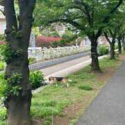 ヒメ日記 2025/07/16 05:32 投稿 すみれ 倶楽部愛