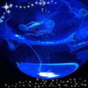 ヒメ日記 2025/07/19 16:18 投稿 すみれ 倶楽部愛