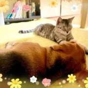 ヒメ日記 2025/07/23 08:03 投稿 すみれ 倶楽部愛