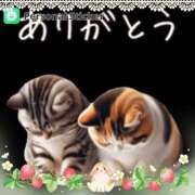 ヒメ日記 2025/07/24 23:01 投稿 すみれ 倶楽部愛