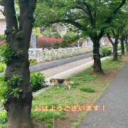 ヒメ日記 2025/07/26 07:14 投稿 すみれ 倶楽部愛