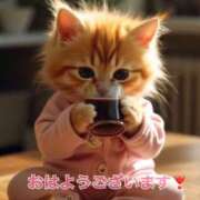 ヒメ日記 2025/08/12 11:53 投稿 すみれ 倶楽部愛