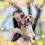 ヒメ日記 2025/08/15 05:30 投稿 すみれ 倶楽部愛