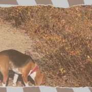 ヒメ日記 2025/08/17 23:45 投稿 すみれ 倶楽部愛