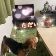 ヒメ日記 2025/09/03 00:08 投稿 すみれ 倶楽部愛