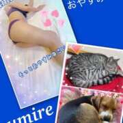 ヒメ日記 2025/09/17 02:44 投稿 すみれ 倶楽部愛