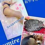 ヒメ日記 2025/09/23 03:05 投稿 すみれ 倶楽部愛