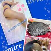 ヒメ日記 2025/09/25 01:58 投稿 すみれ 倶楽部愛