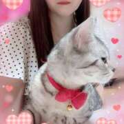 ヒメ日記 2025/10/16 15:21 投稿 すみれ 倶楽部愛