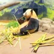 ヒメ日記 2025/10/16 23:44 投稿 すみれ 倶楽部愛