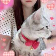 ヒメ日記 2025/11/04 07:00 投稿 すみれ 倶楽部愛