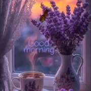 ヒメ日記 2025/11/08 02:31 投稿 すみれ 倶楽部愛