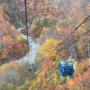 ヒメ日記 2025/11/11 11:01 投稿 すみれ 倶楽部愛