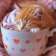 ヒメ日記 2025/11/14 03:20 投稿 すみれ 倶楽部愛