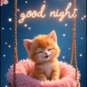 ヒメ日記 2025/11/18 01:04 投稿 すみれ 倶楽部愛