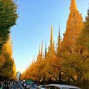 ヒメ日記 2025/11/22 08:20 投稿 すみれ 倶楽部愛