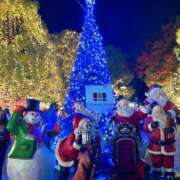 ヒメ日記 2025/11/23 01:22 投稿 すみれ 倶楽部愛