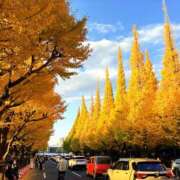 ヒメ日記 2025/11/24 05:49 投稿 すみれ 倶楽部愛